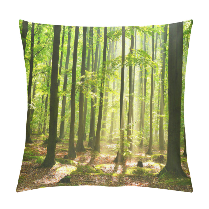 Personality  Beautiful Autumn Dawn In Magic Forest Pillow Covers