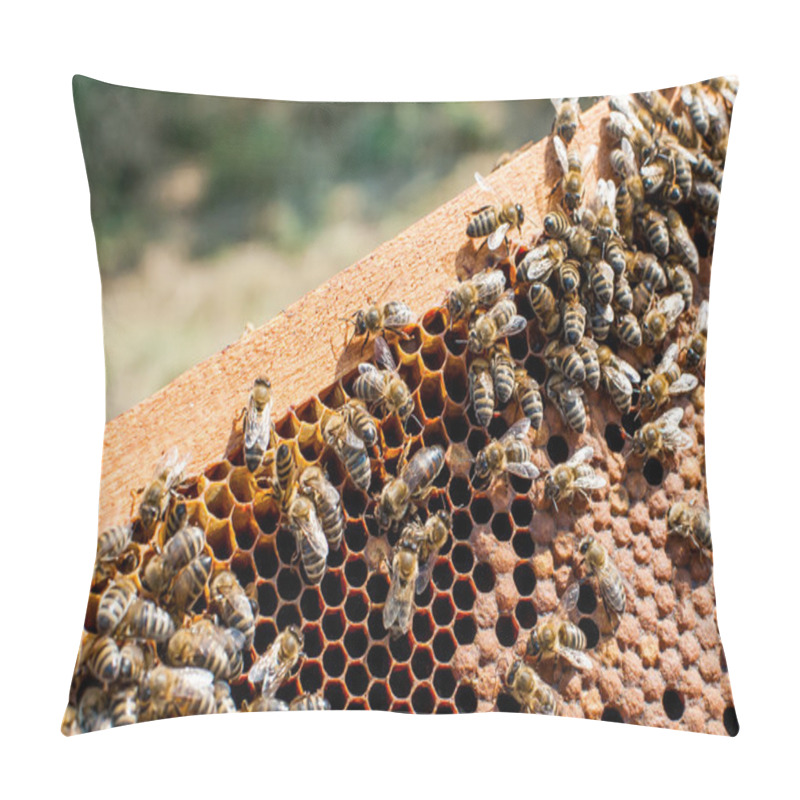 Personality  Honey Bees Working Pillow Covers