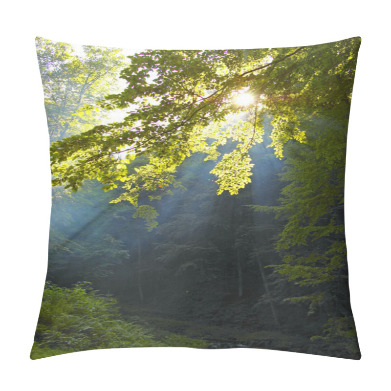 Personality  Morning Sunshine In A Forest Pillow Covers