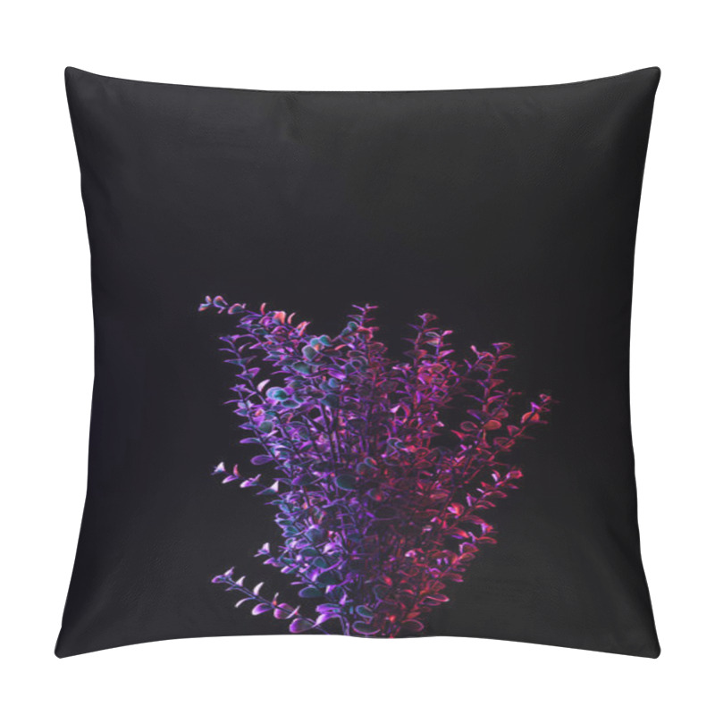 Personality  Toned Image Of Beautiful Plant With Purple Lighting Isolated On Black Pillow Covers