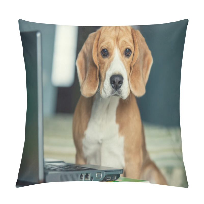 Personality  Beagle Dog In With Laptop Pillow Covers