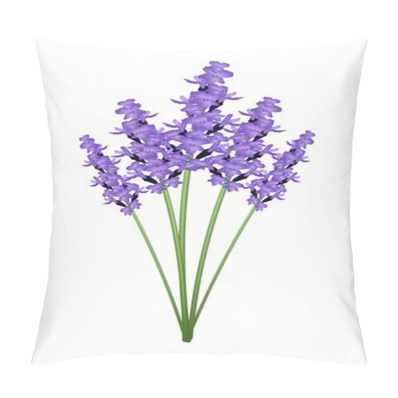 Personality  Bunch Of Purple Lavender Flowers On A White Background Pillow Covers