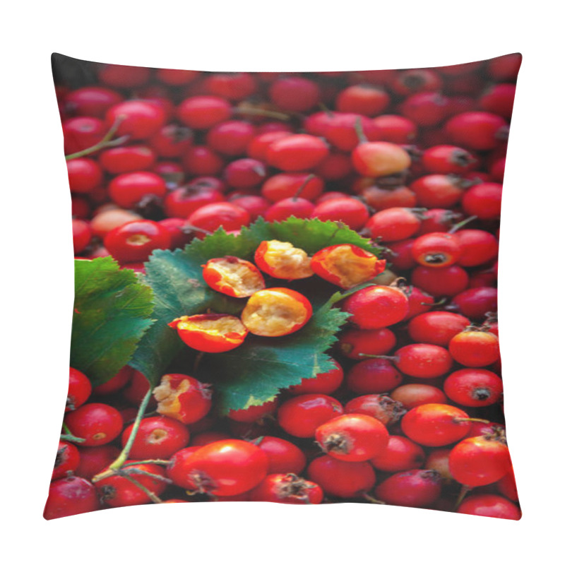 Personality  Red Berries Of A Useful Plant Hawthorn. It Looks Like A Rose Hip. A Medicinal Plant Used In Medicine. Background From Fruits Top View. Pillow Covers