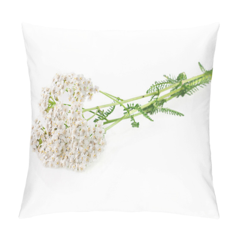 Personality  Yarrow Herb On A White Background Pillow Covers