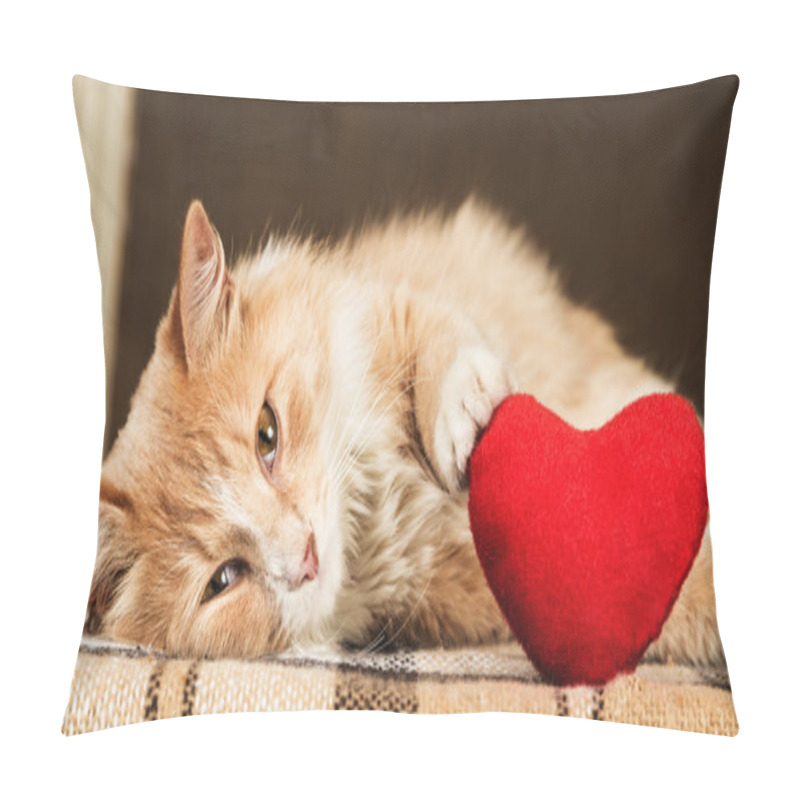 Personality  Ginger Fluffy Cat Is Playful Touching Soft Toy Heart Pillow Covers