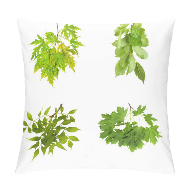 Personality  Branch With Green Leaves Isolated On White Background  Pillow Covers