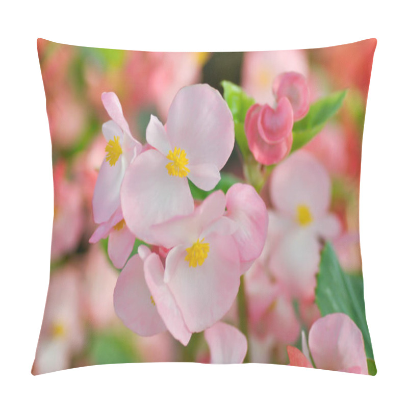 Personality  Begonia ,Begonia X Semperflorens-cultorum Pillow Covers