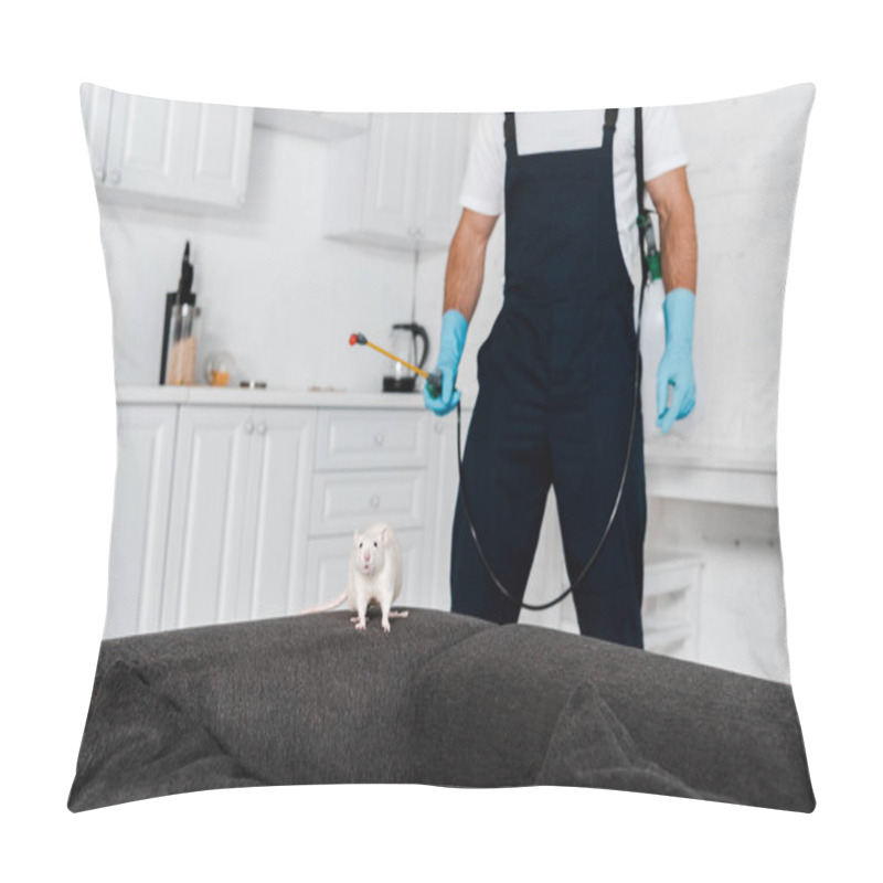 Personality  Selective Focus Of White Rat On Grey Sofa Near Exterminator Standing And Holding Equipment  Pillow Covers