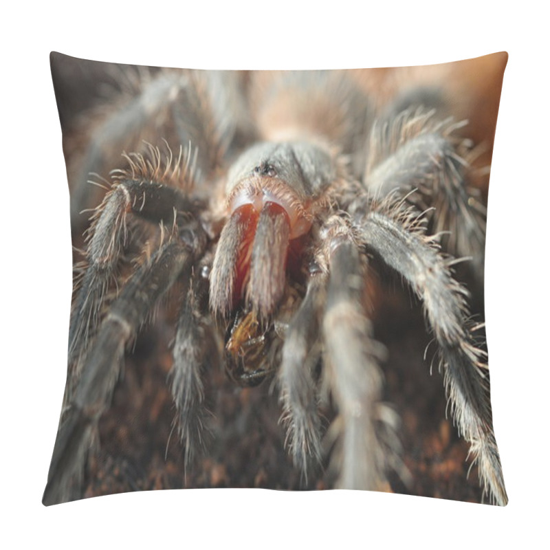 Personality  Spider Pillow Covers