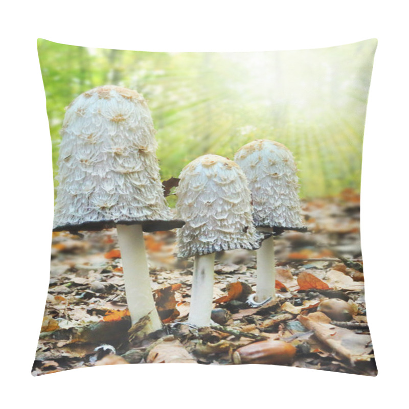 Personality  Mysterious Mushroom In A Forest. The Shaggy Mane  Pillow Covers