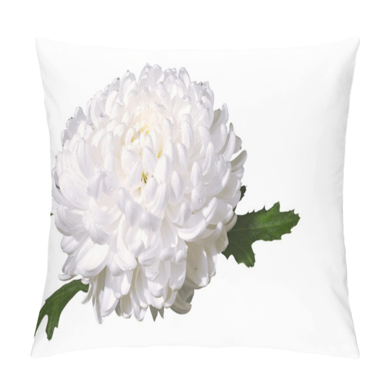 Personality  White Chrysanthemum Pillow Covers