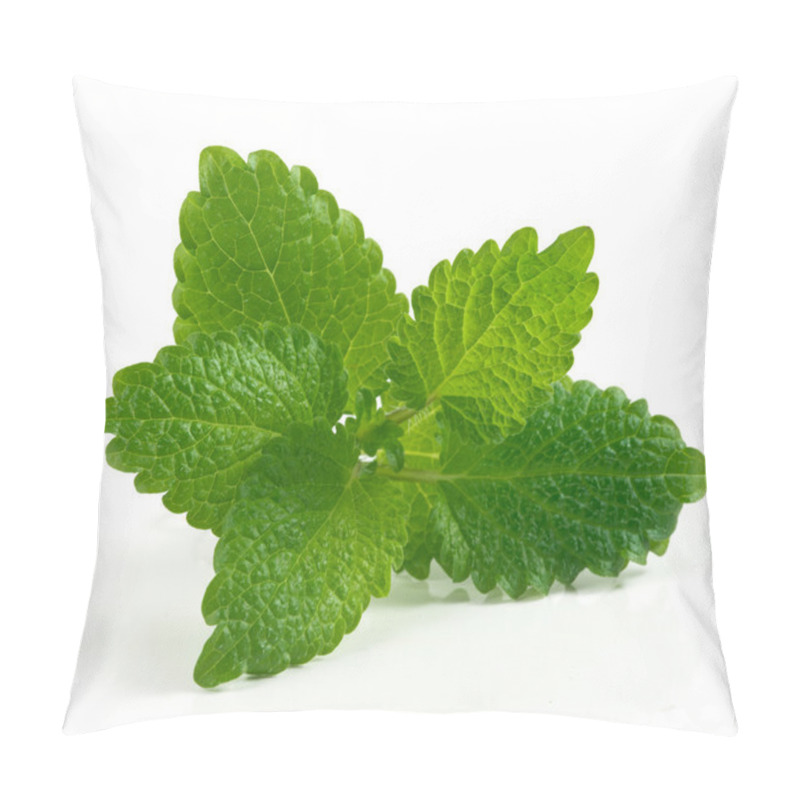 Personality  Bee Balm Pillow Covers