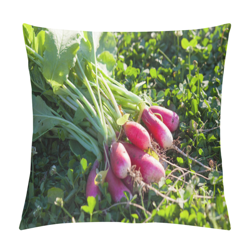 Personality  Redish Sheaf On Green Grass Pillow Covers