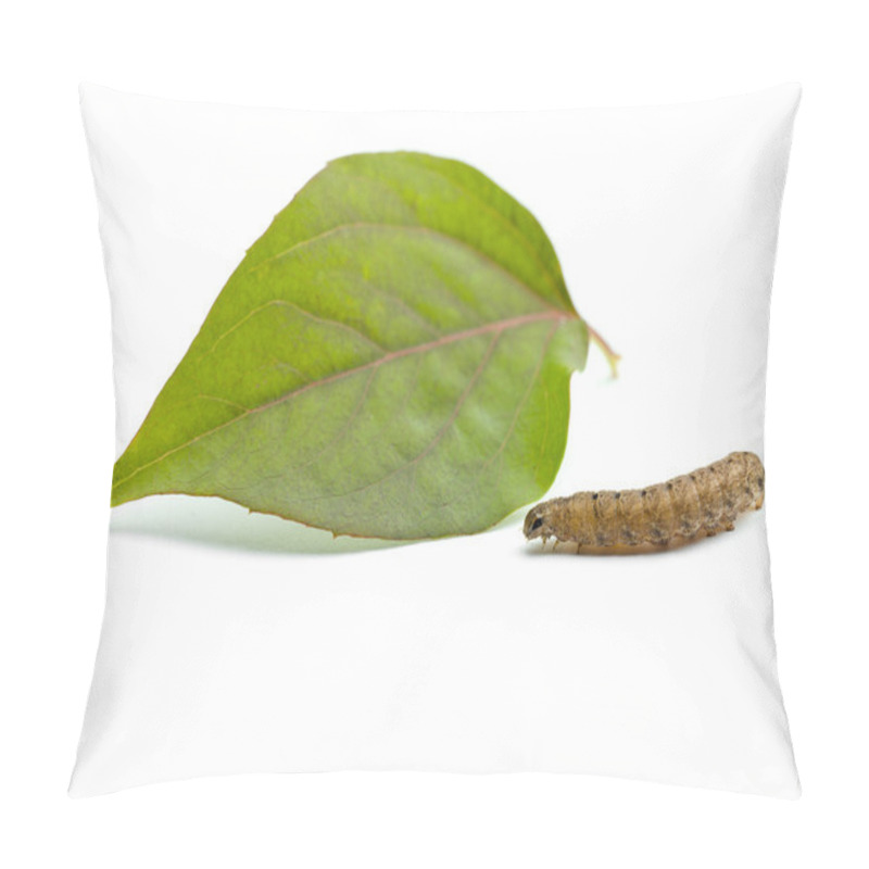 Personality  Caterpillar And Leaf Pillow Covers