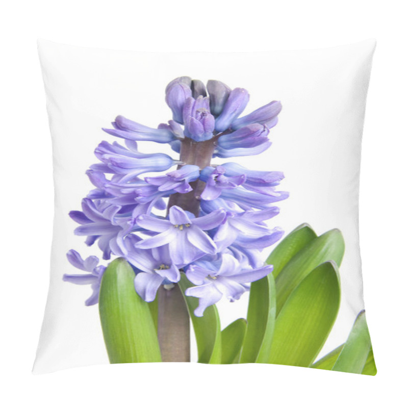 Personality  Purple Hyacinth Flower Pillow Covers