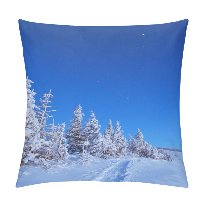 Personality  Twilight In The Woods In Winter Pillow Covers