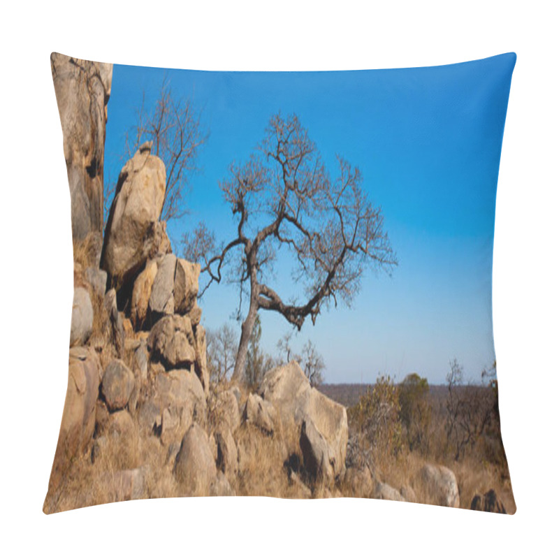 Personality  African Landscape In The Kruger National Park, South Africa Pillow Covers