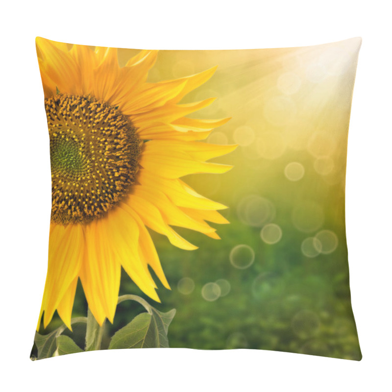 Personality  Sunflower Background Pillow Covers