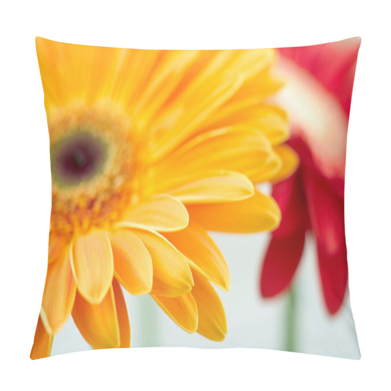 Personality  Closeup Photo Of Yellow Daisy-gerbera Pillow Covers