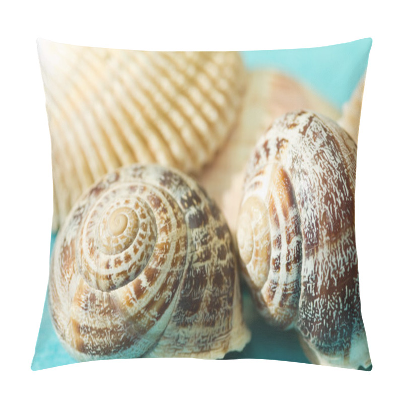 Personality  Seashells On A Blue Background Pillow Covers