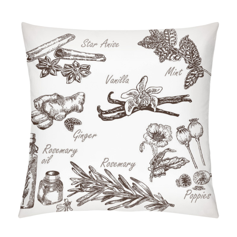 Personality  Kitchen Herbs And Spices Set. Vector Pillow Covers