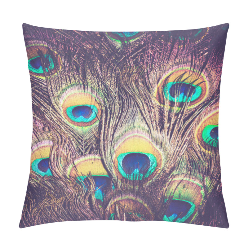 Personality  Peacock Feather Macro Retro Pillow Covers