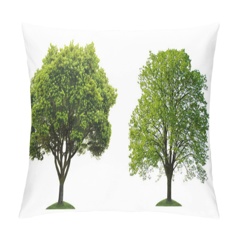 Personality  Two Green Tree On White Background Pillow Covers