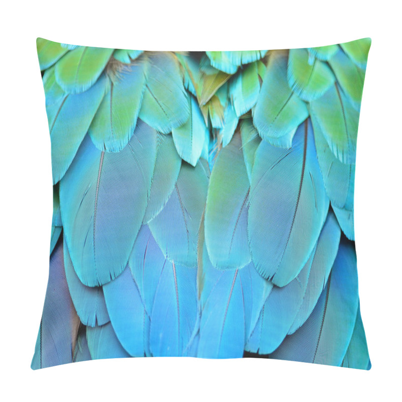 Personality  Harlequin Macaw Feathers Pillow Covers