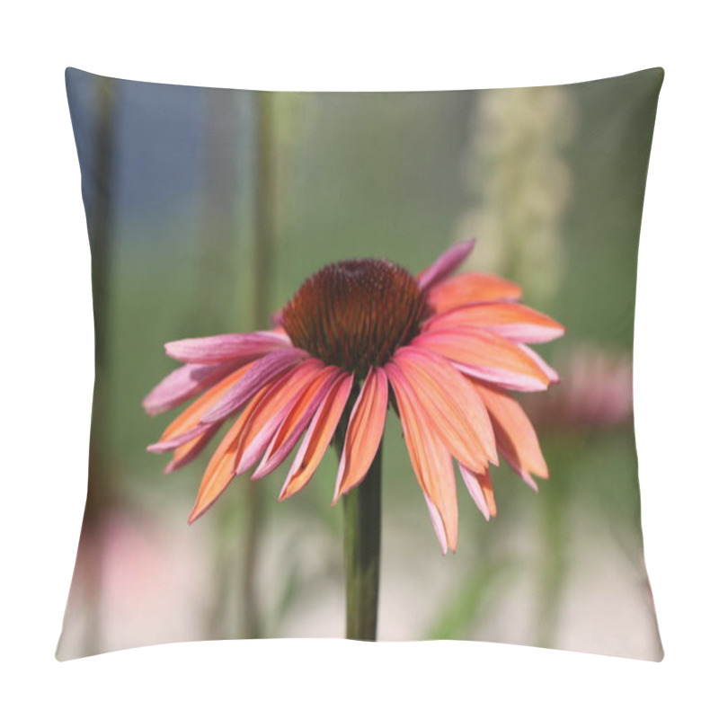 Personality  Beautiful Blooming Flowers, Nature Background Pillow Covers