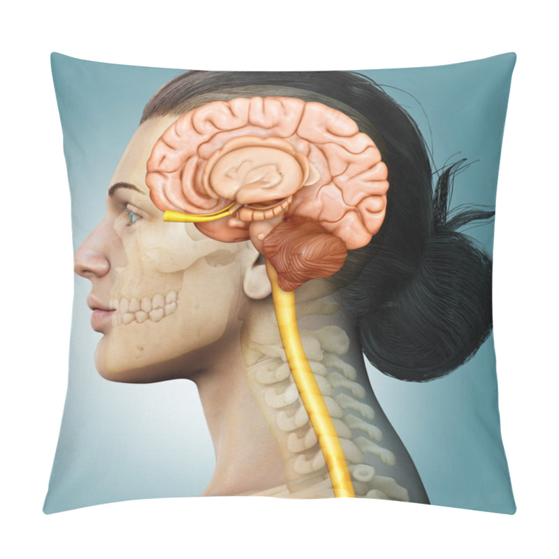 Personality  3d Rendering Medical Illustration Of Female Brain  Anatomy  Pillow Covers