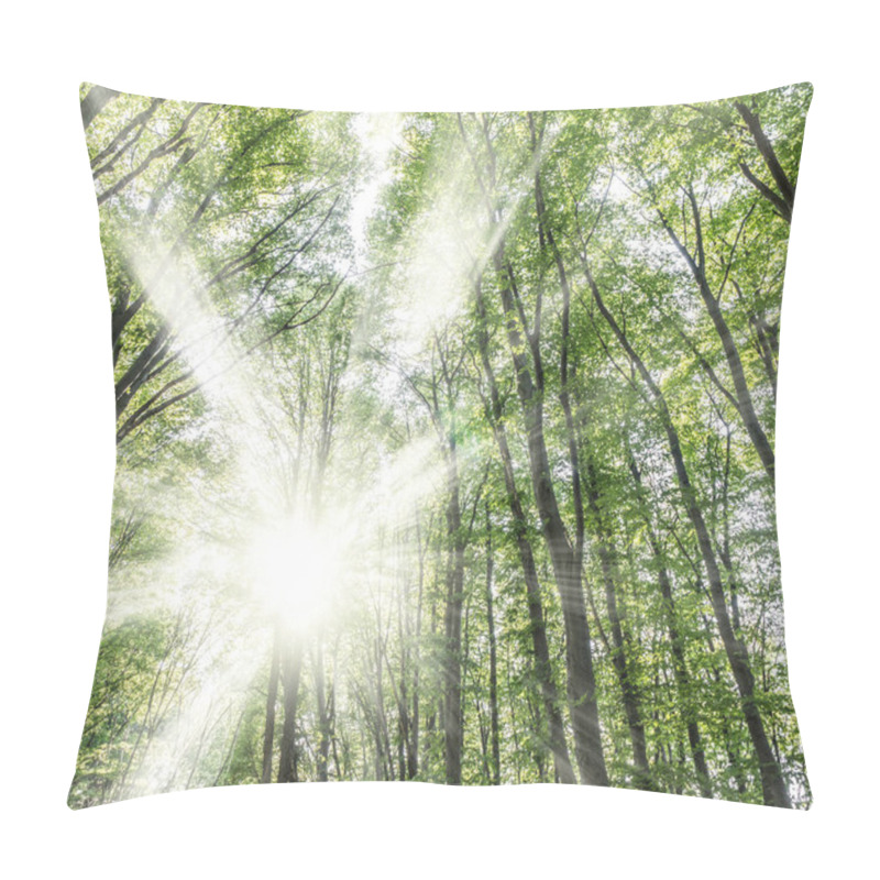 Personality  Sunlights Shining Through The Trees In The Spring Forest. Pillow Covers