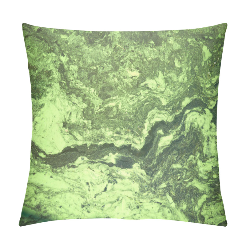 Personality  An Algal Bloom Or Algae Bloom Is A Rapid Increase Or Accumulation In The Population Of Algae. Green Water Of A River Pillow Covers