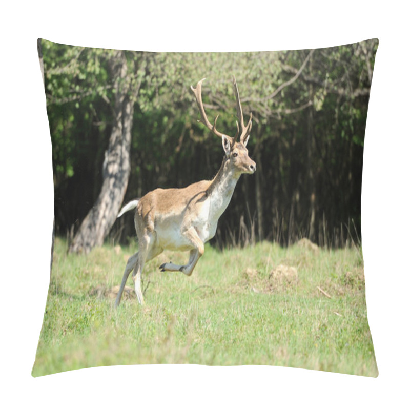 Personality  Roe Deer Pillow Covers