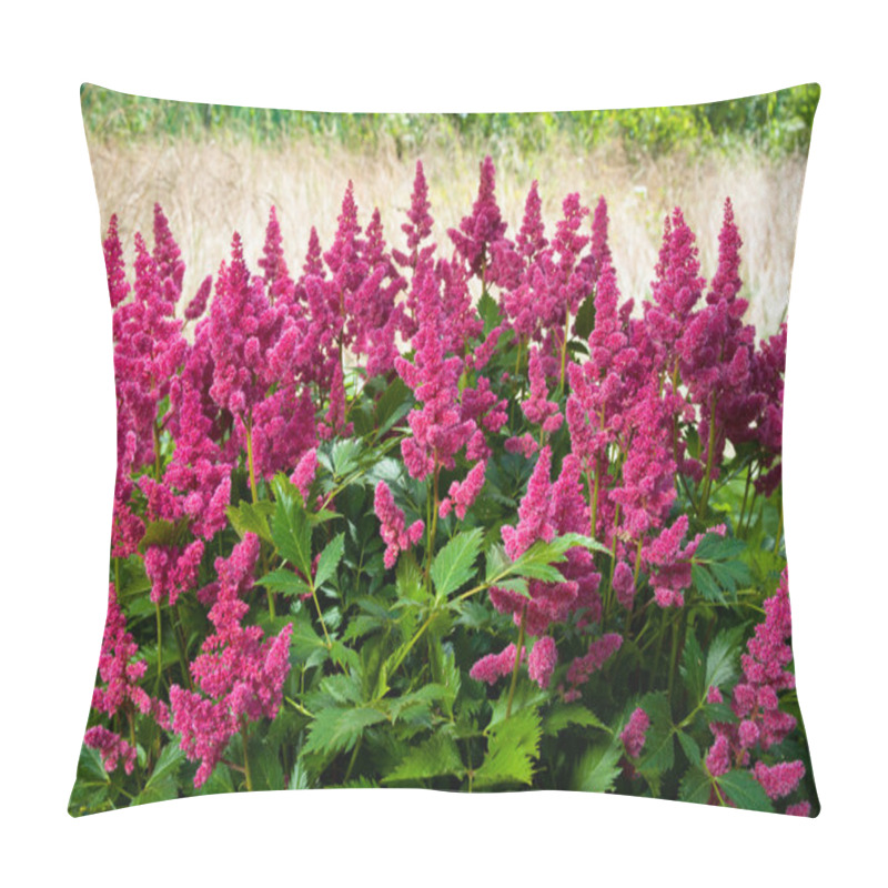 Personality  Pink Astilbe (False Spirea), Copy Space, Horizontal Pillow Covers