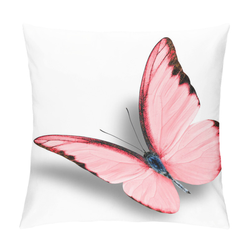 Personality  The Beautiful Flying Red Butterfly On White Background With Soft Shadow (Chocolate Albatross In Exotic Fancy Color Profile) Pillow Covers