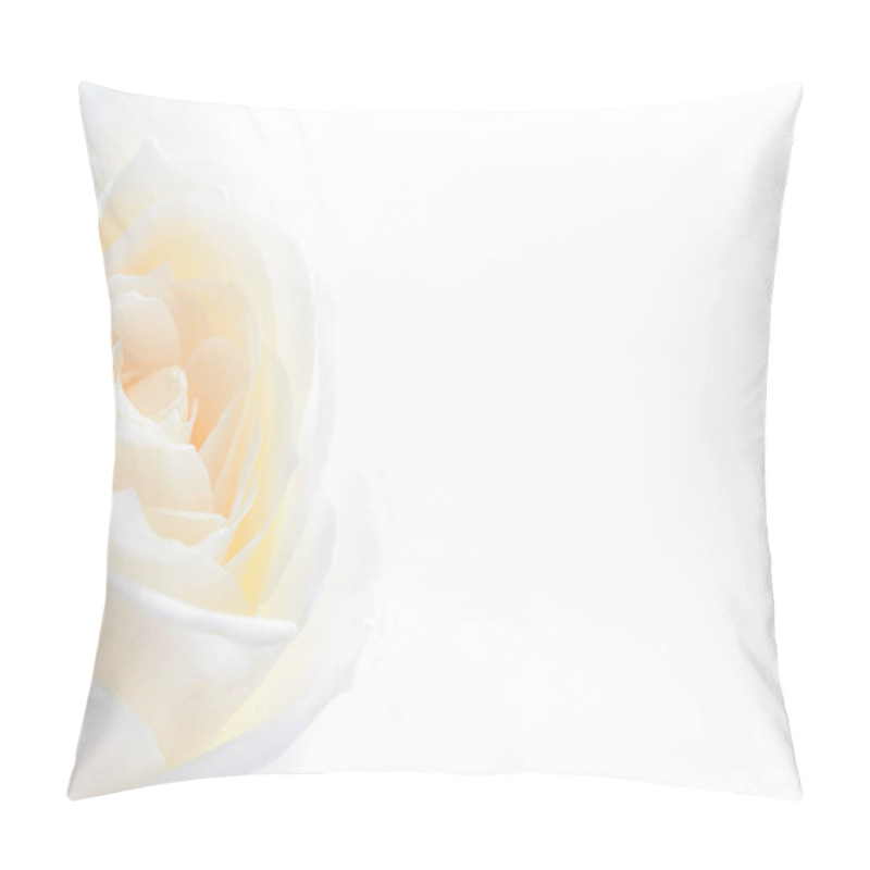 Personality  Rose Flowers Close Up On Background . Pillow Covers