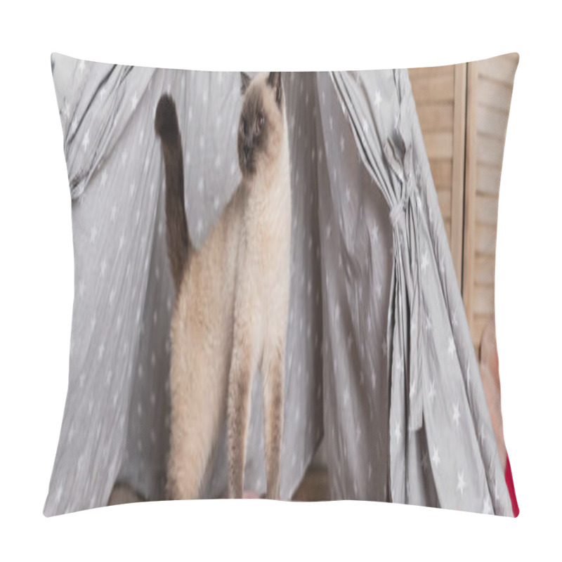 Personality  Furry Cat Looking Out From Wigwam At Home, Banner Pillow Covers