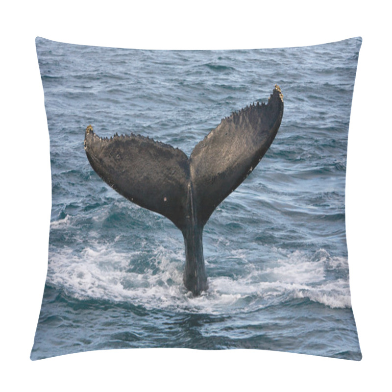 Personality  Humpback Whale Pillow Covers