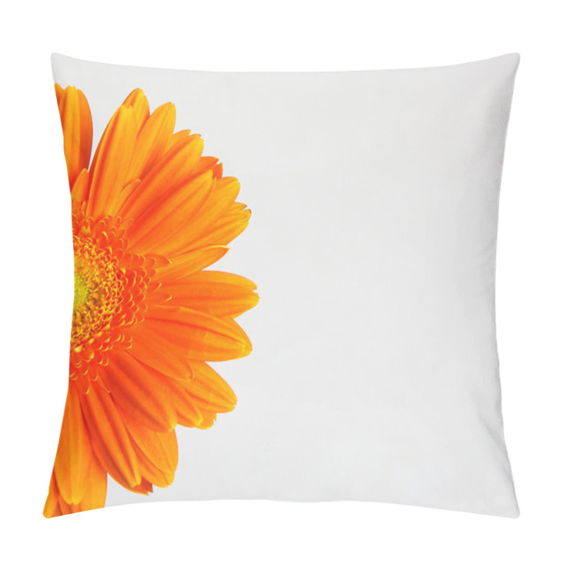 Personality  Gerber Flower Pillow Covers