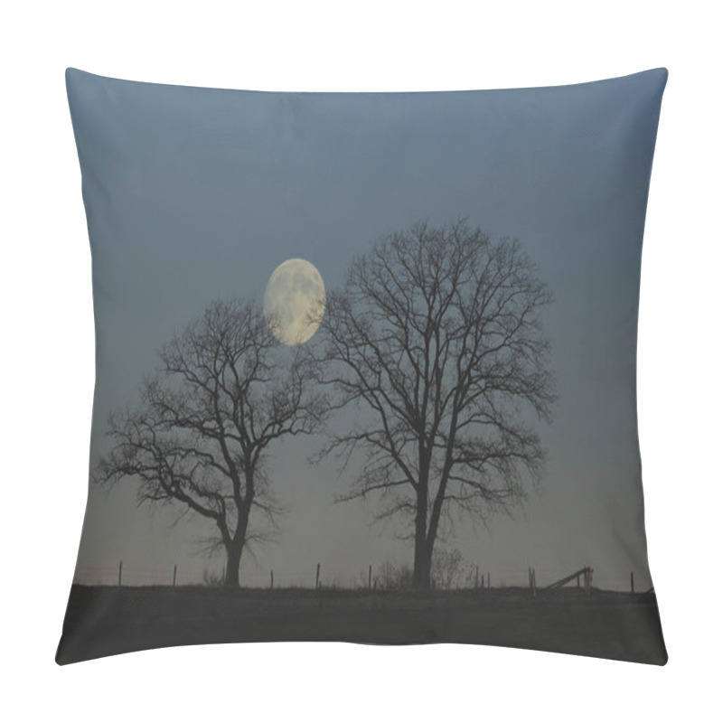 Personality  Bald Oaks And Rising Full Moon,in The Homert Nature Park Near Remblinghausen In The Hochsauerland.\nbare Oak Trees In The Dusk,rising Full Moon,natural Preserve Homert.\n Pillow Covers