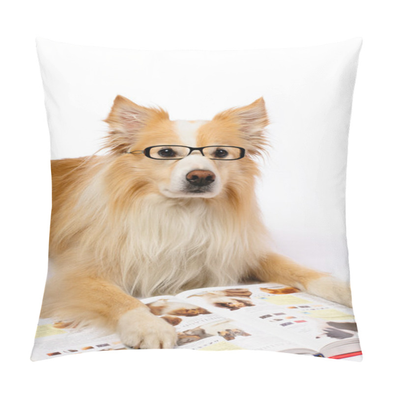 Personality  Dog Reading Book Pillow Covers