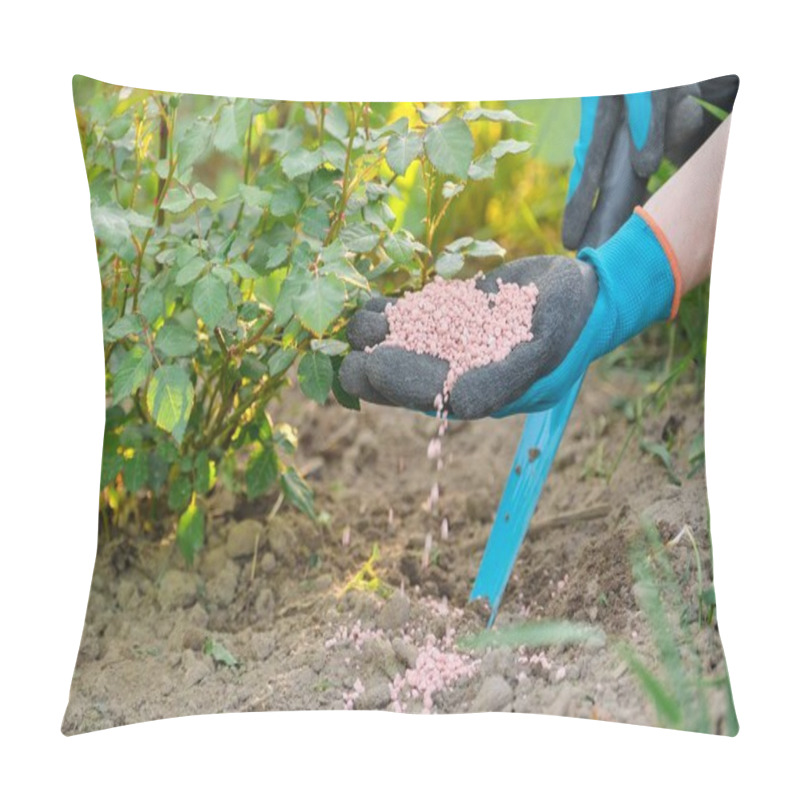 Personality  Granules Fertilizer In Hands Of Woman Gardener. Pillow Covers