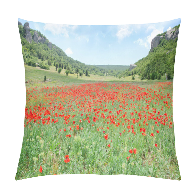 Personality  Poppies In Green Field Pillow Covers