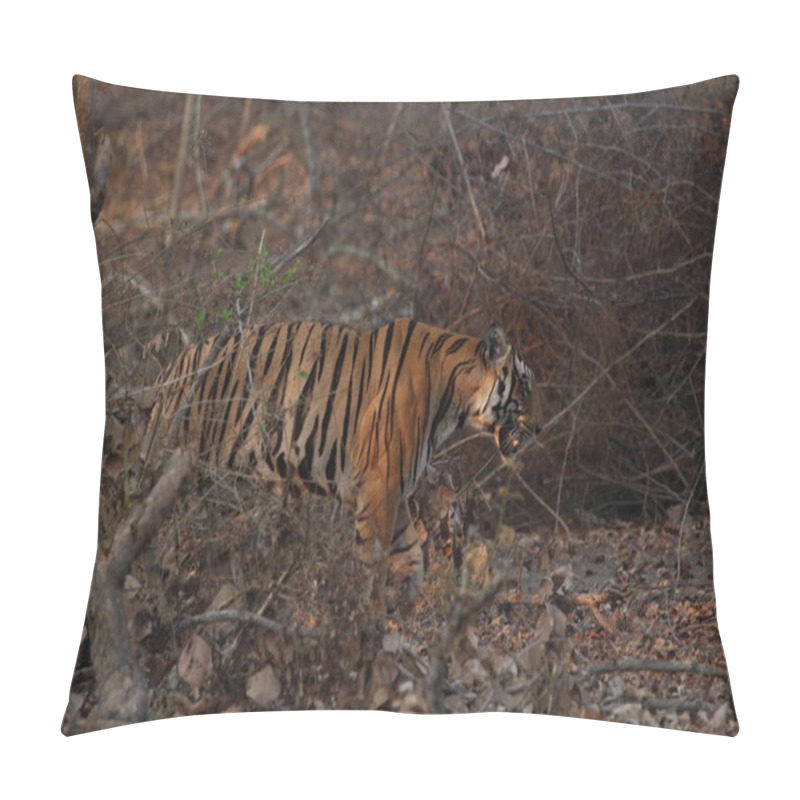 Personality  Majestic Bengal Tiger Stealthily Prowling Through Dry Forest Foliage, Blending Seamlessly With The Wilderness. Captured In Golden Hour Lighting, This Wildlife Shot Highlights The Tiger's Fierce Beauty And Natural Camouflage.Perfect For Nature Themes. Pillow Covers