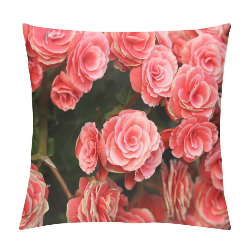 Personality  Begonia Flower Pillow Covers