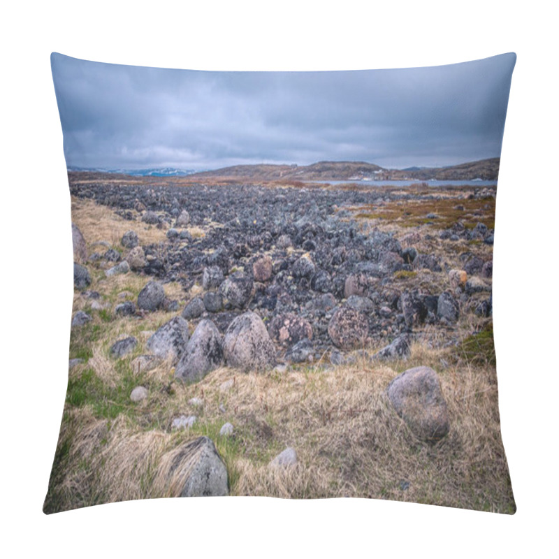 Personality  Large Round Cut Stones On The Barents Sea Coast, Covered With Brown Algae. Pillow Covers