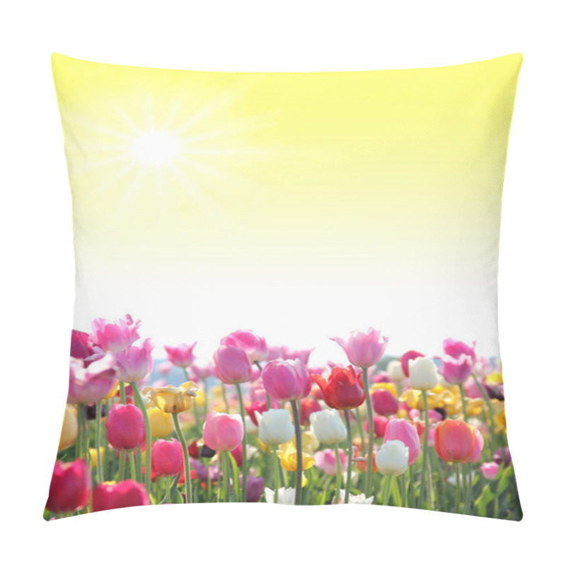 Personality  Sunny Background With Tulip Blossoms Pillow Covers