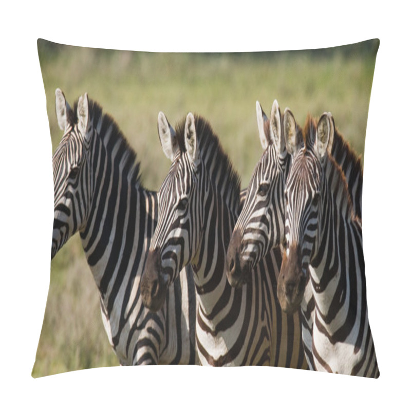 Personality  Zebras Herd In Its Habitat. Pillow Covers