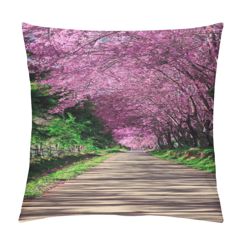 Personality  Cherry Blossom Pathway In ChiangMai, Thailand Pillow Covers