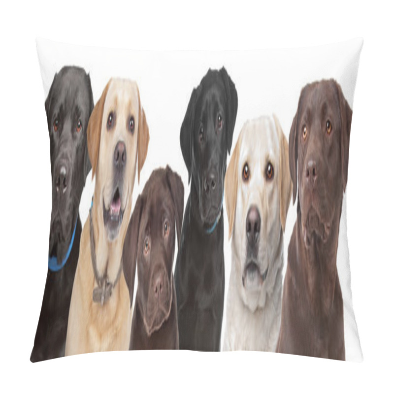 Personality  Six Labrador Dogs In A Row Pillow Covers